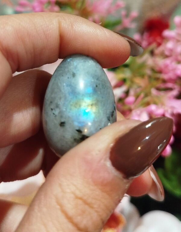 Ovo de Labradorite 🔮 - Image 2